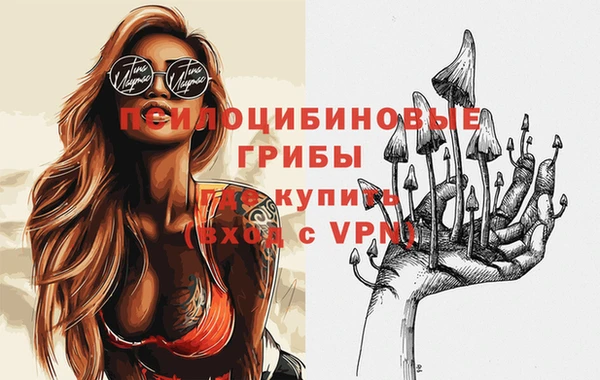 первитин Алексеевка