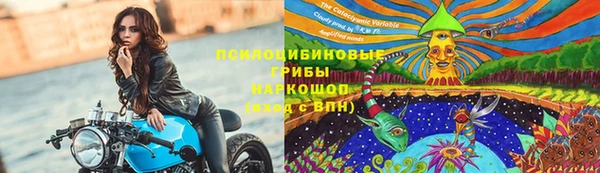 гидра Алзамай