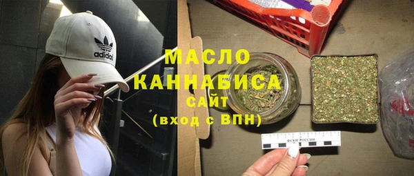 молекула духа Осташков