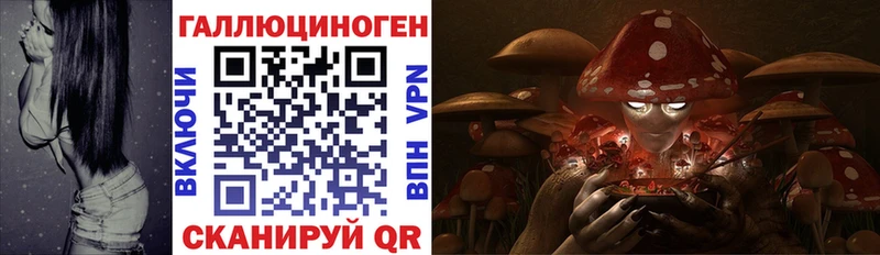 дарк нет телеграм Новая Ляля Псилоцибиновые грибы Magic Shrooms